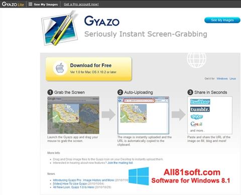 スクリーンショット Gyazo Windows 8.1版
