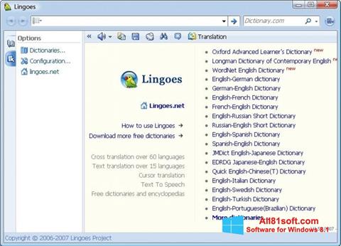 スクリーンショット Lingoes Windows 8.1版