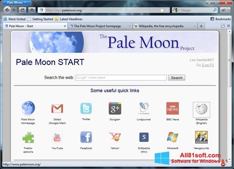 スクリーンショット Pale Moon Windows 8.1版