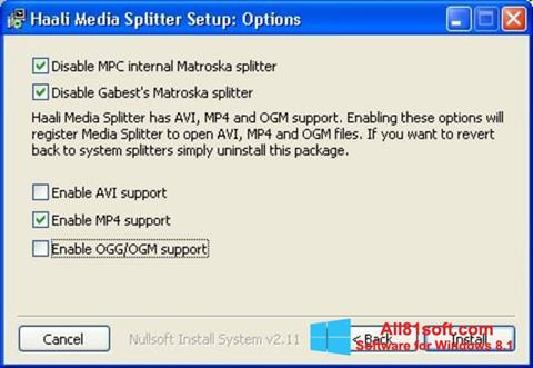 スクリーンショット Haali Media Splitter Windows 8.1版