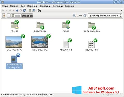 スクリーンショット Dropbox Windows 8.1版