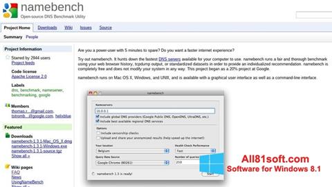 スクリーンショット NameBench Windows 8.1版