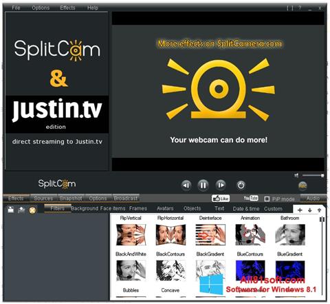 スクリーンショット SplitCam Windows 8.1版