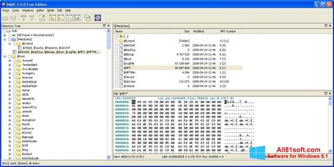 スクリーンショット DMDE Windows 8.1版