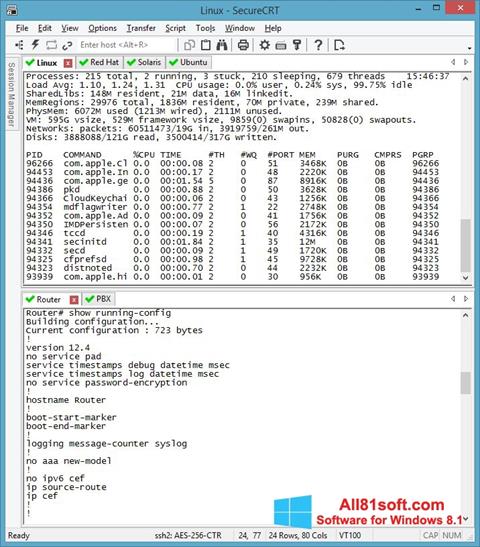 スクリーンショット SecureCRT Windows 8.1版