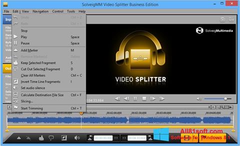 スクリーンショット SolveigMM Video Splitter Windows 8.1版