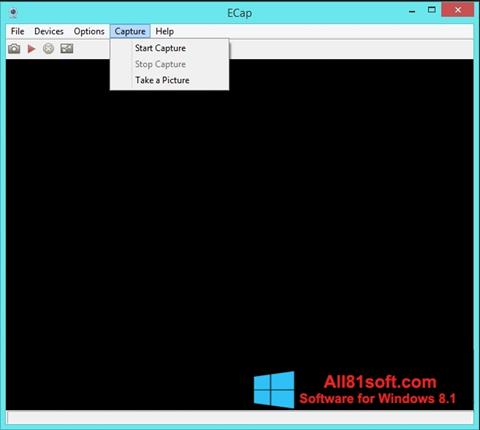 スクリーンショット ECap Windows 8.1版