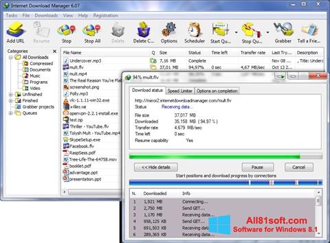 スクリーンショット Internet Download Manager Windows 8.1版