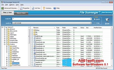 スクリーンショット File Scavenger Windows 8.1版