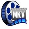 MKV Player Windows 8.1版
