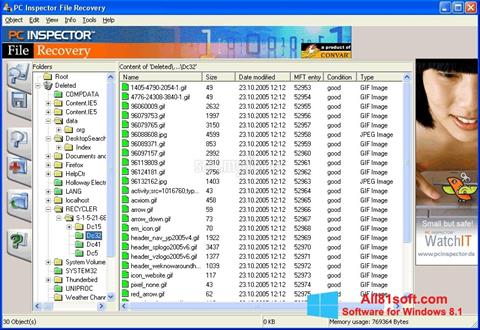 スクリーンショット PC Inspector File Recovery Windows 8.1版
