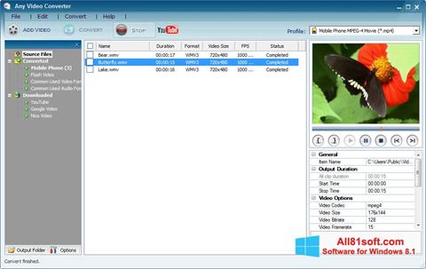 スクリーンショット Any Video Converter Windows 8.1版