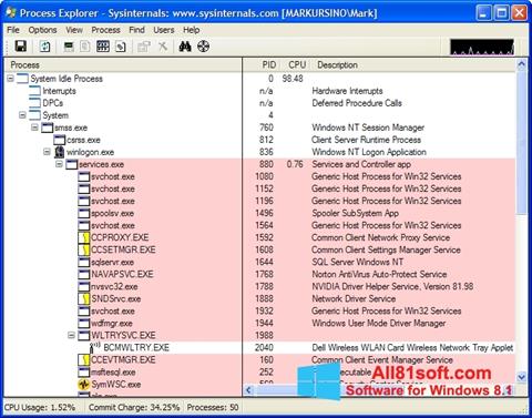 スクリーンショット Process Explorer Windows 8.1版