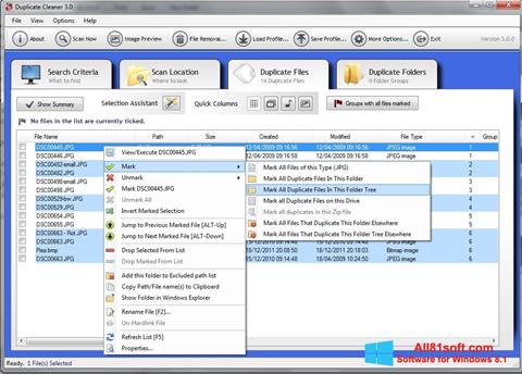 スクリーンショット Duplicate Cleaner Windows 8.1版