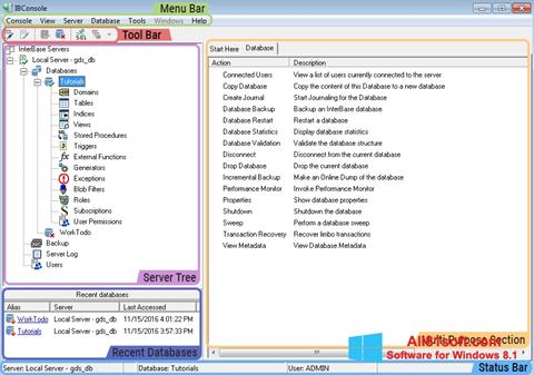 スクリーンショット InterBase Windows 8.1版