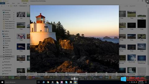 スクリーンショット Picasa Photo Viewer Windows 8.1版