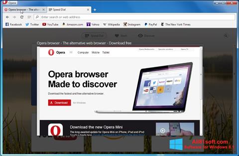スクリーンショット Opera Developer Windows 8.1版