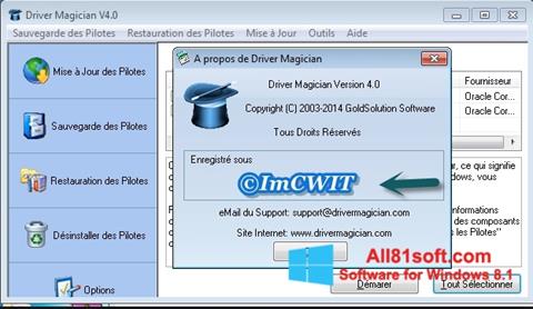 スクリーンショット Driver Magician Windows 8.1版