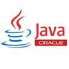 Java Runtime Environment Windows 8.1版